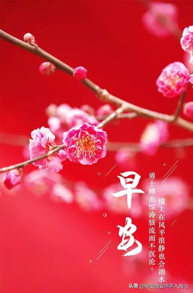 早安心语正能量激励句子 早上好正能量图片带字