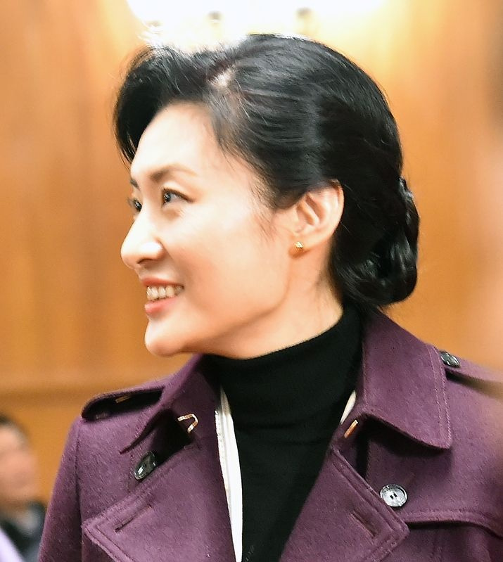 周涛,知性优雅的政协委员