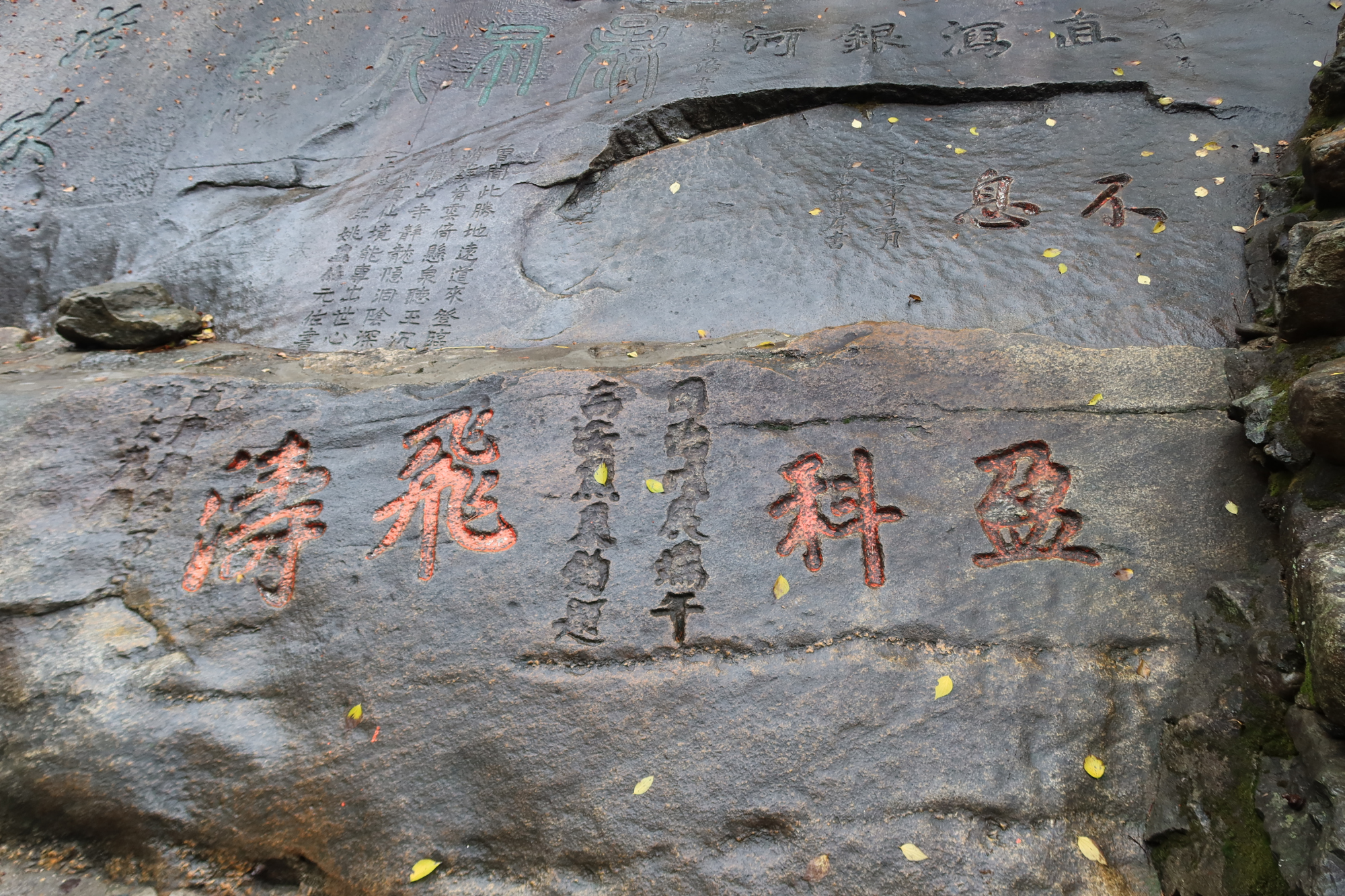 盈科和飞涛