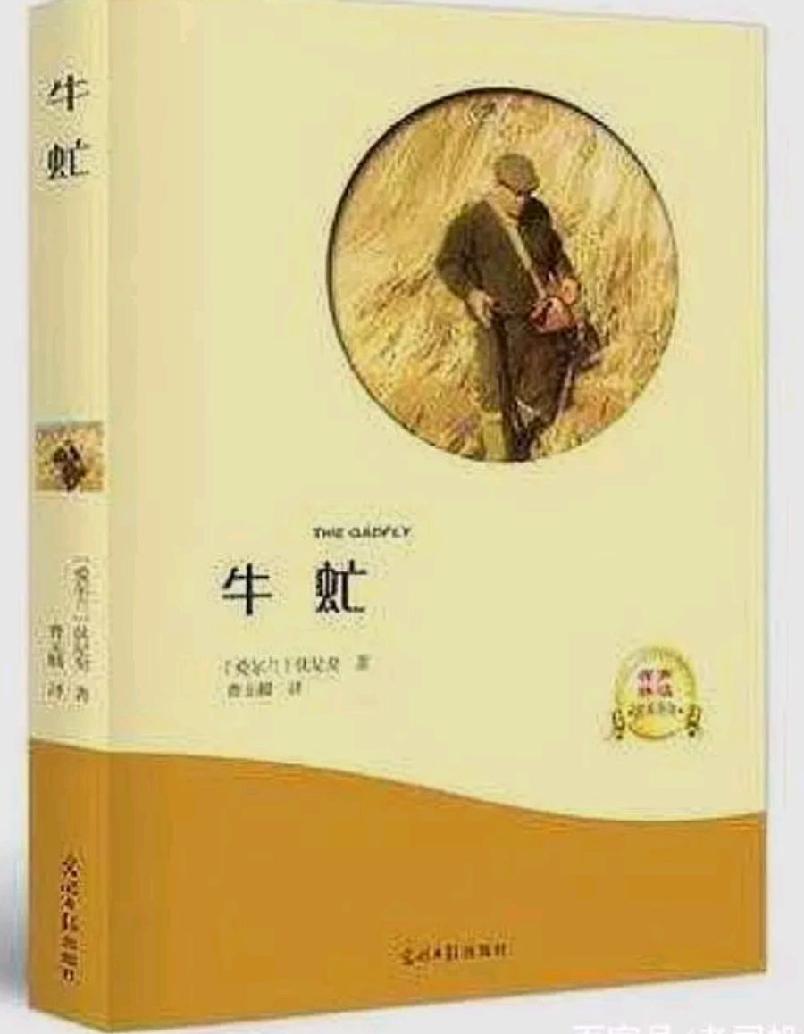 青春与热血一一看电影《牛虻》