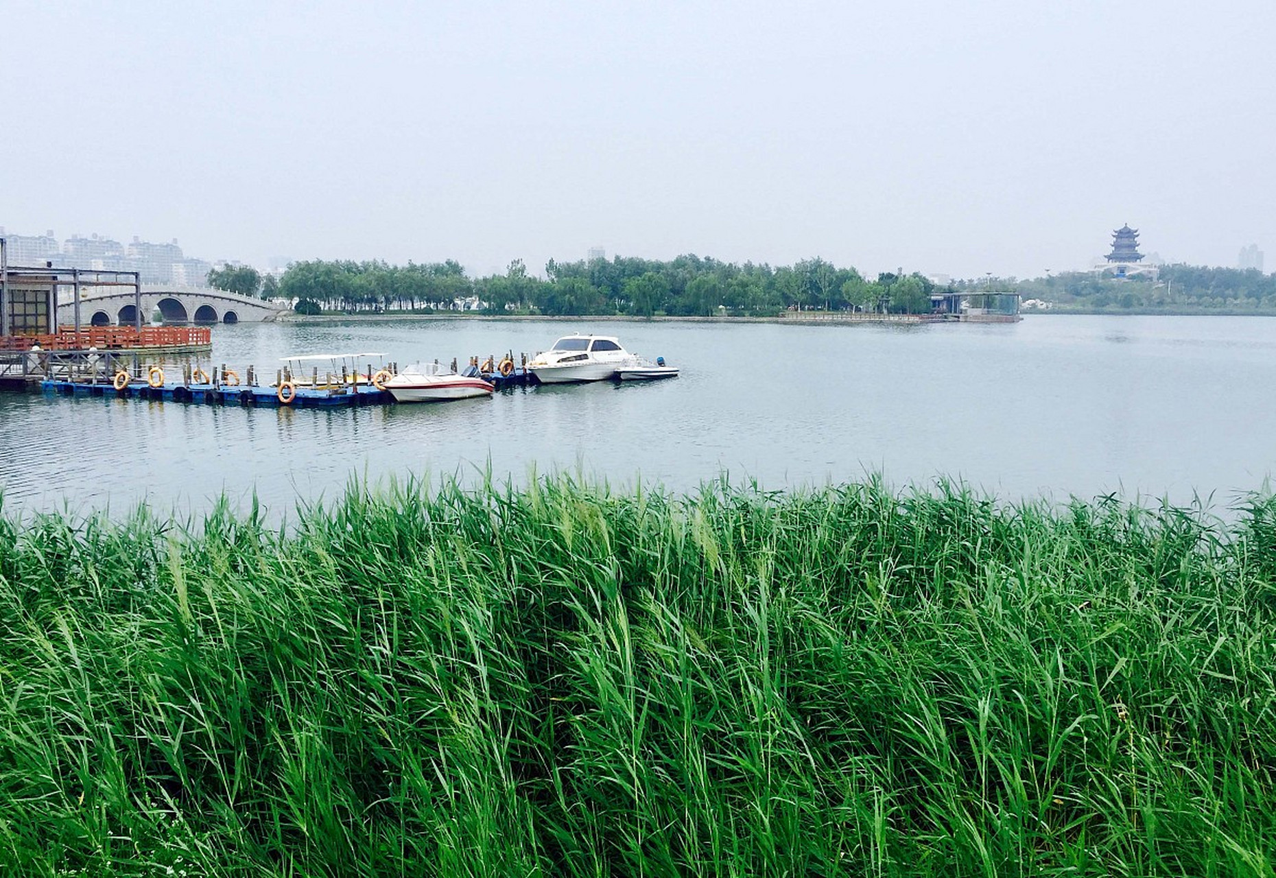 清风湖公园,位于山东省东营市,是这个城市最大的城市公园.