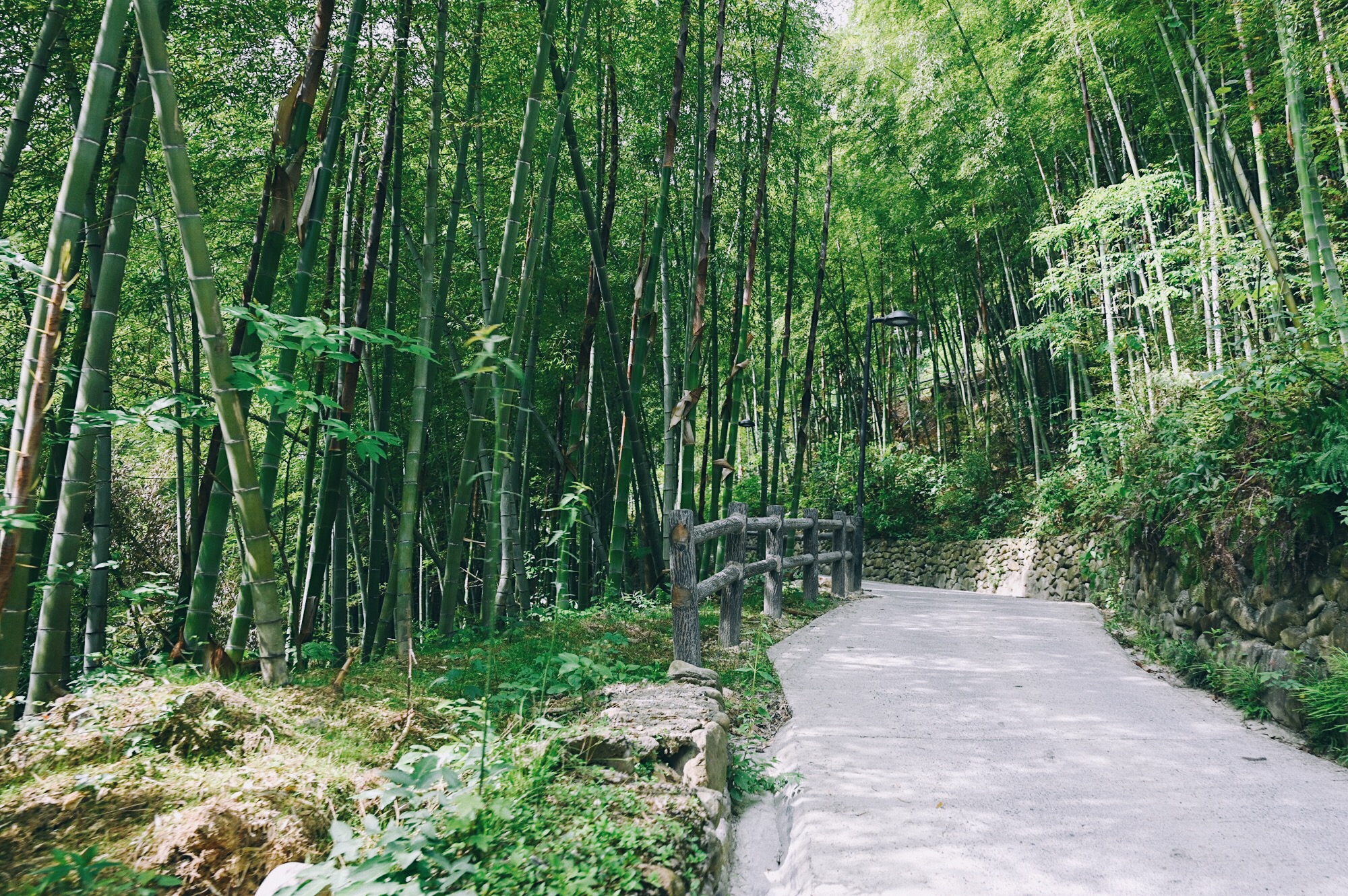 宁海安岚,国内首家安缦同门,隐于温泉胜地天明山中遗世而独立