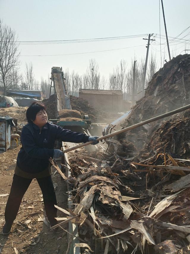 禹城李屯乡李屯美女图片