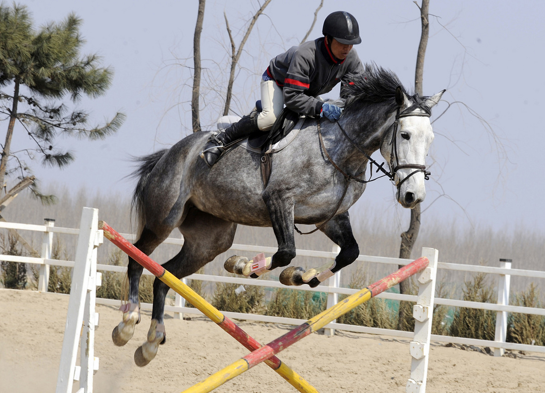 刀郎新歌疑似暗讽那英杨坤#  心是菩提心,欲是俗人欲.