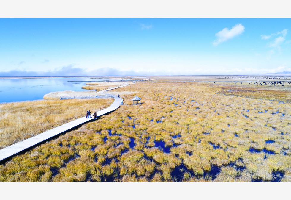 青藏高原与黄河共创的神奇——若尔盖湿地