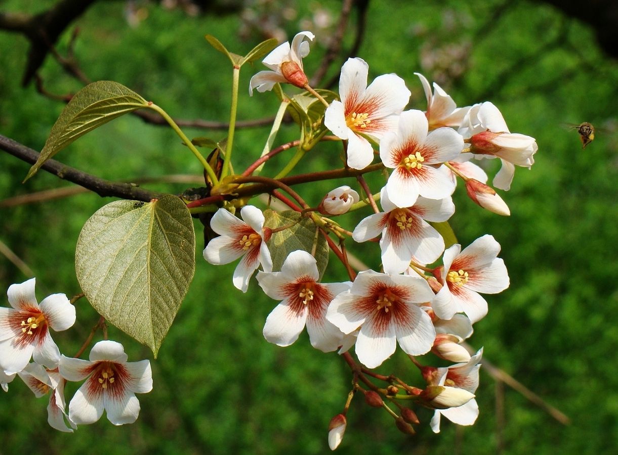 1 - 热门商品专区