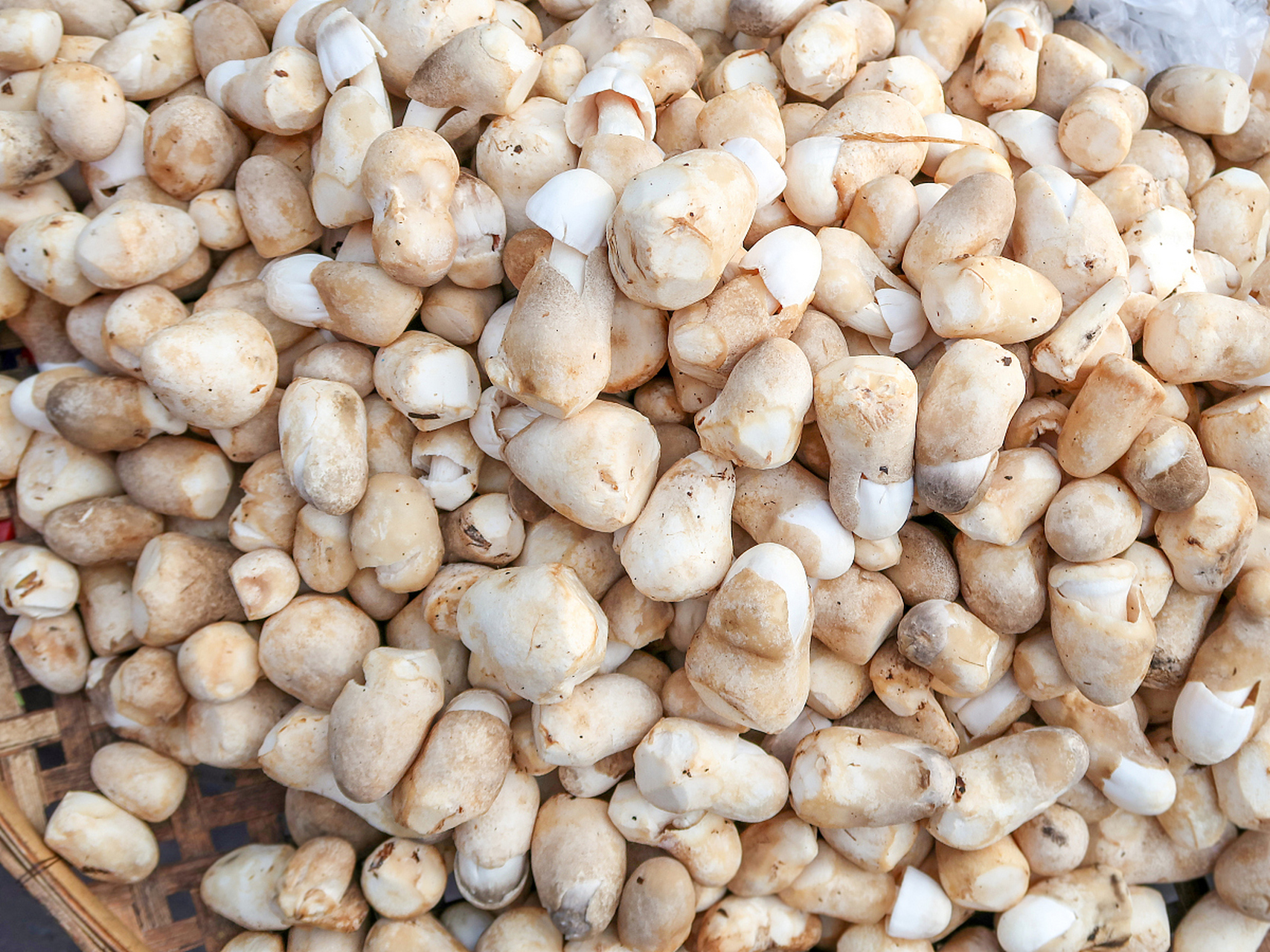 姜半夏功效与作用	 以下是姜半夏的主要功效和作用: 1.