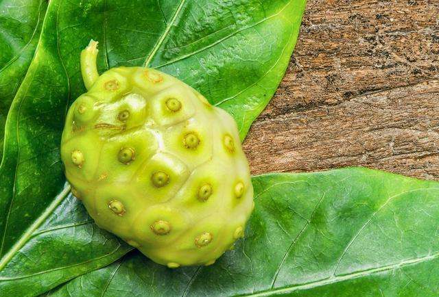 这是来自澳洲的杂交卡卡杜酸橙,一种正宗的柑橘类水果.