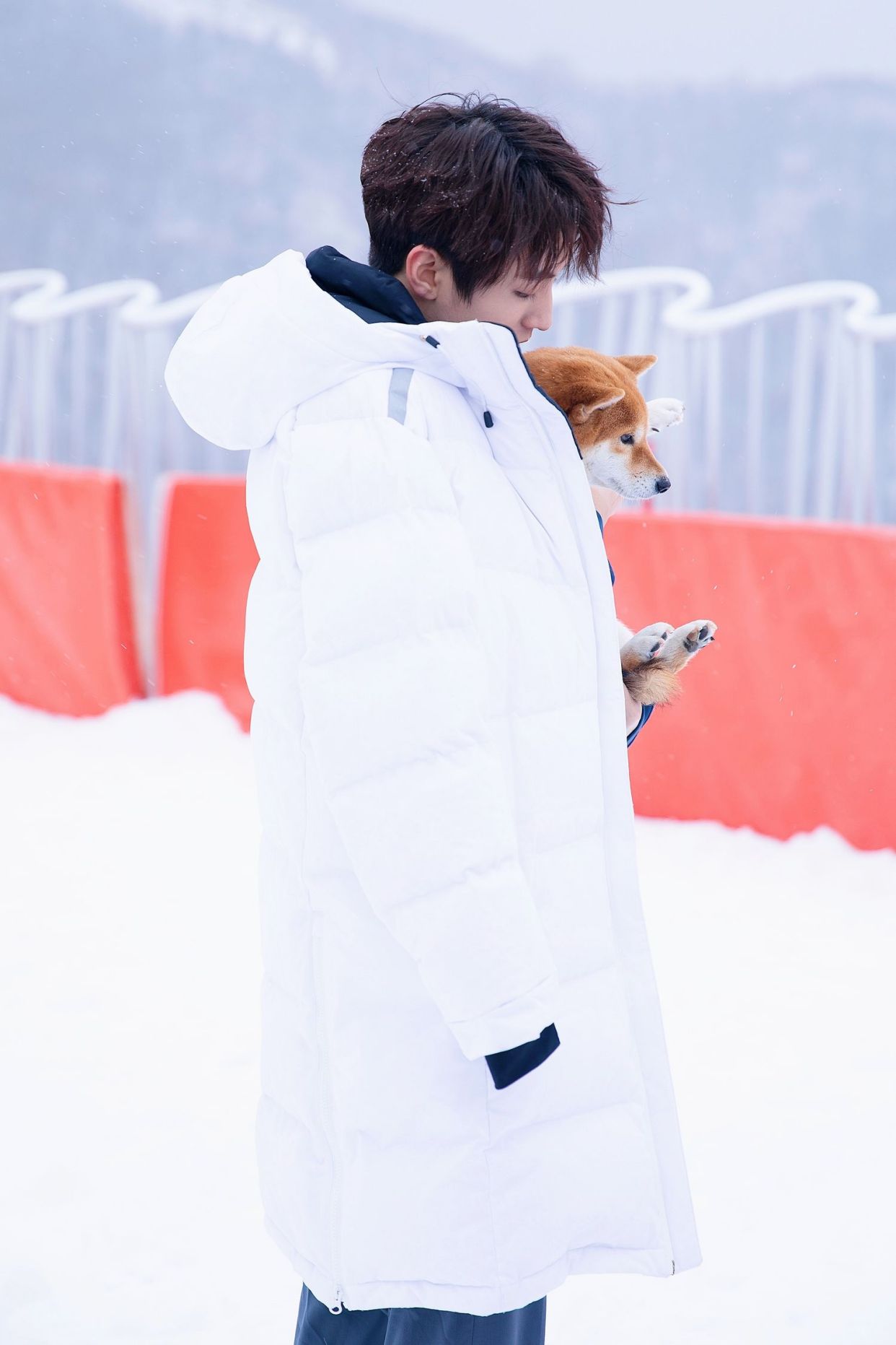 工作室分享王俊凯雪地抱狗图,雪中少年温柔帅气