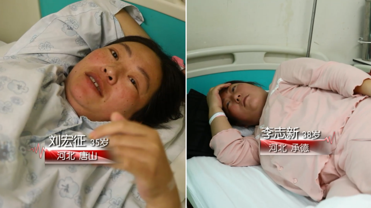 第三级生命之伴的影评