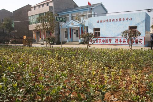 应城天鹅镇召开农业农村工作暨作风建设动员大会