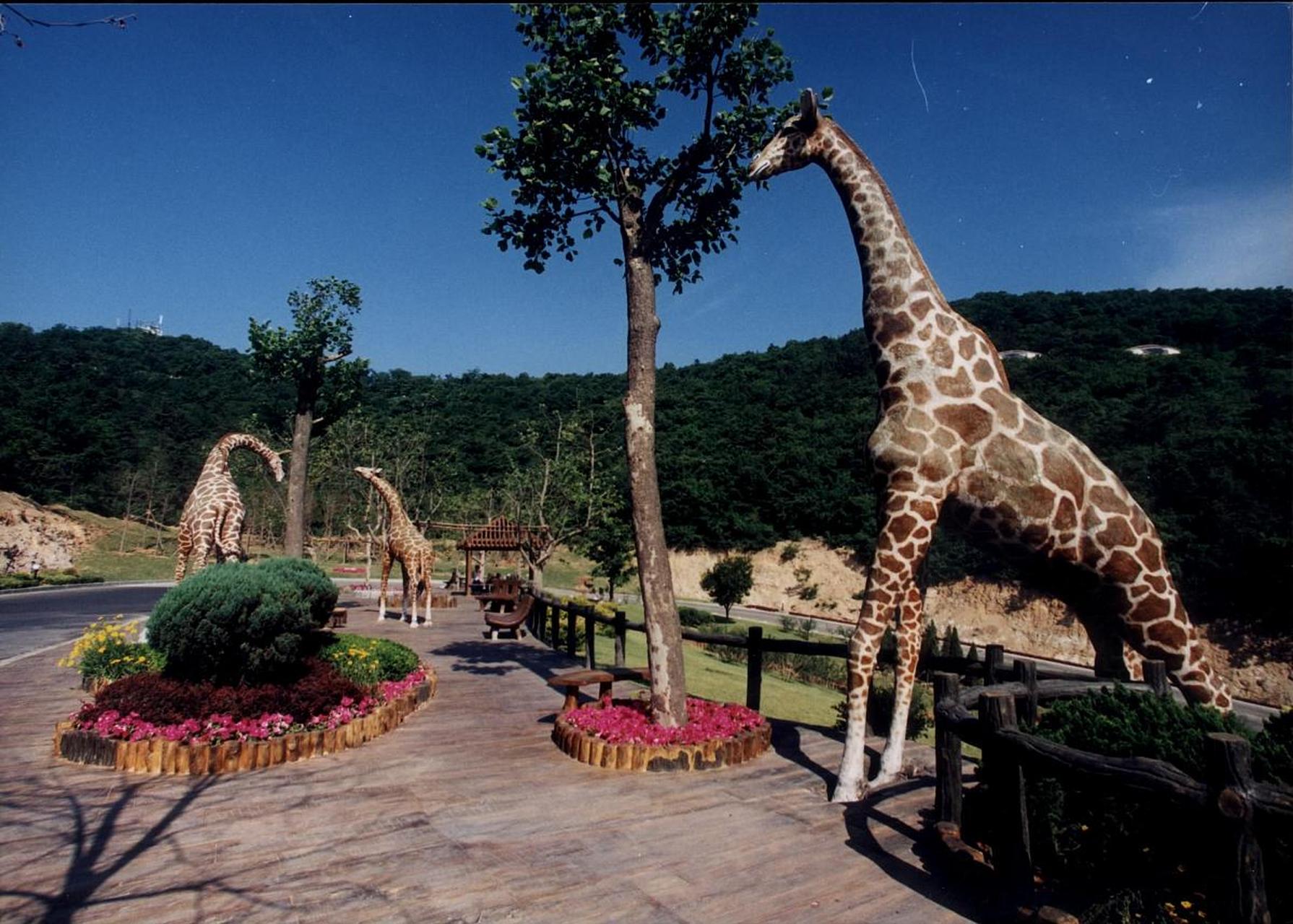 湖南汉寿野生动物园是湖南地区最大的野生动物园,占地2500亩园区内有