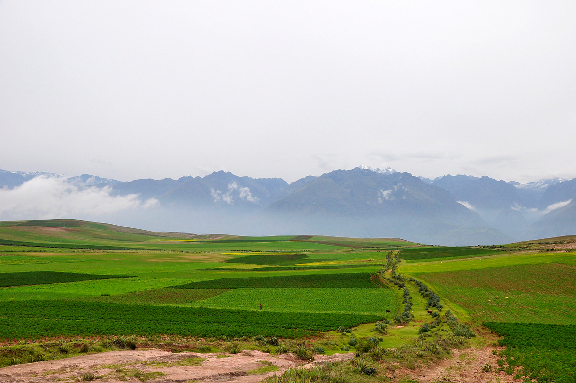 奔赴春天的旅行# 踏春托乎拉苏大草原位于伊犁河谷的腹地,那里的天