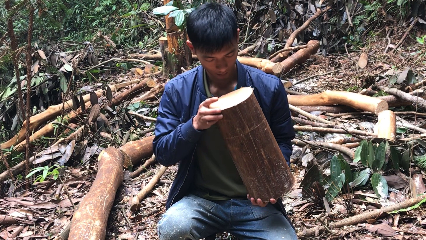 肉桂树历来是农民经济来源,但只要皮不要桂木,到底这木头怎么了