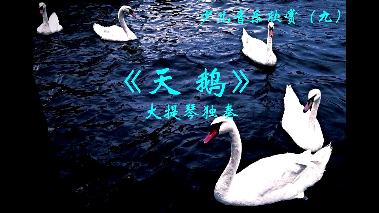 少儿音乐欣赏系列(九)大提琴独奏《天鹅》