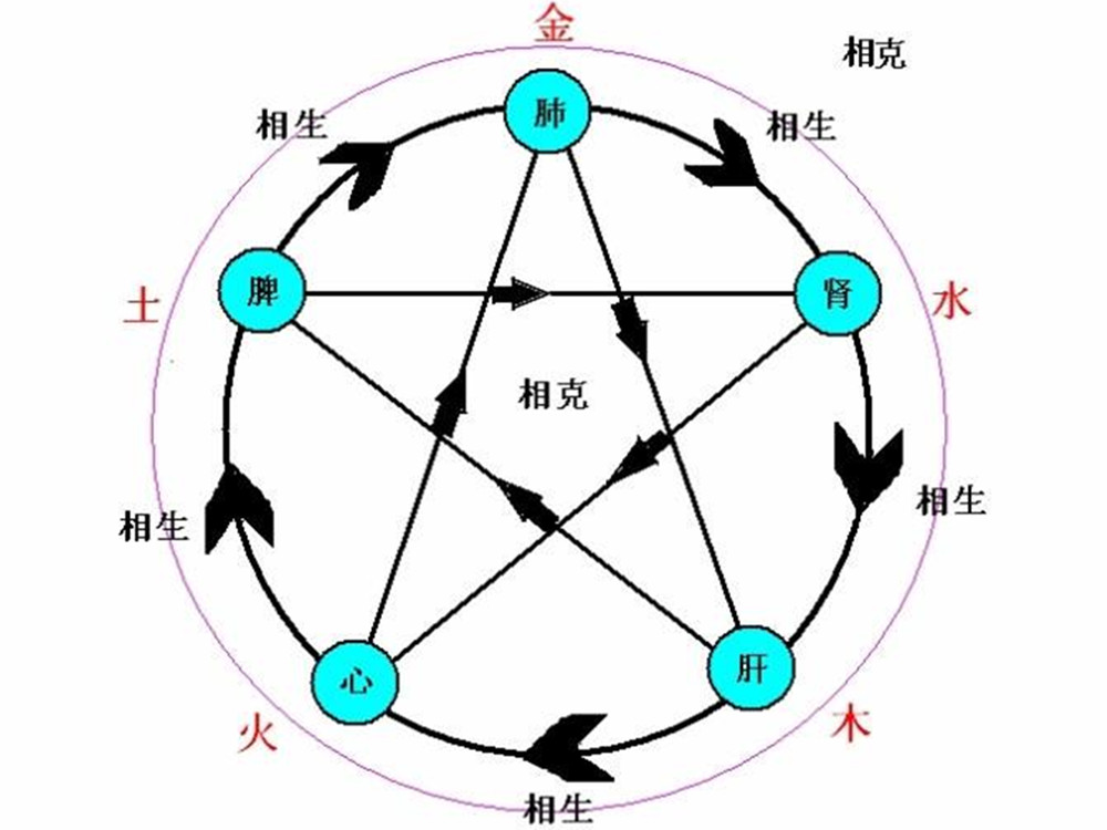 五行和身体中的五脏六腑也是相对应的