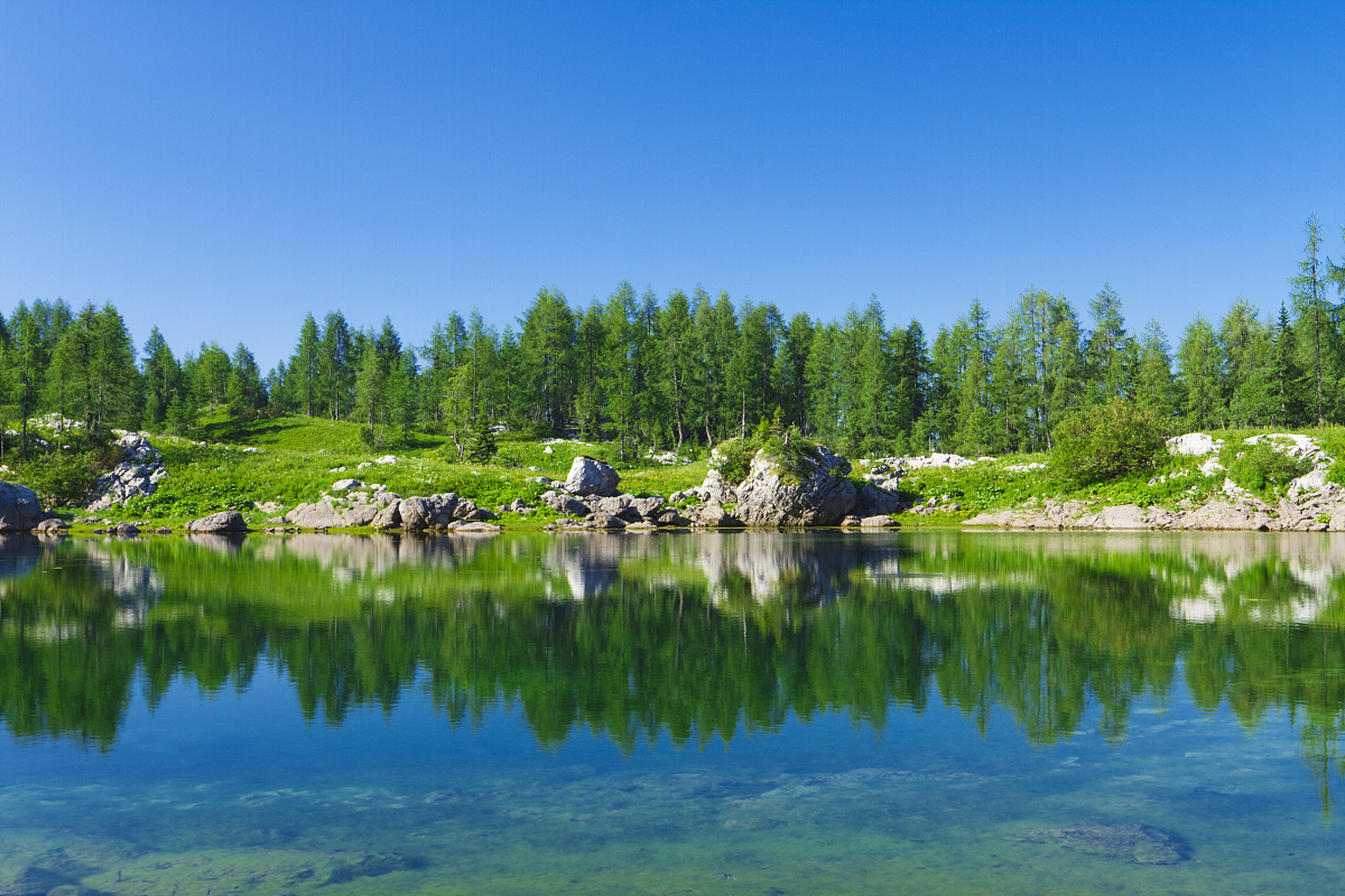 镜头里的春天# 春季游玩汪清县的春日,是一幅细腻而丰富的画卷,它用