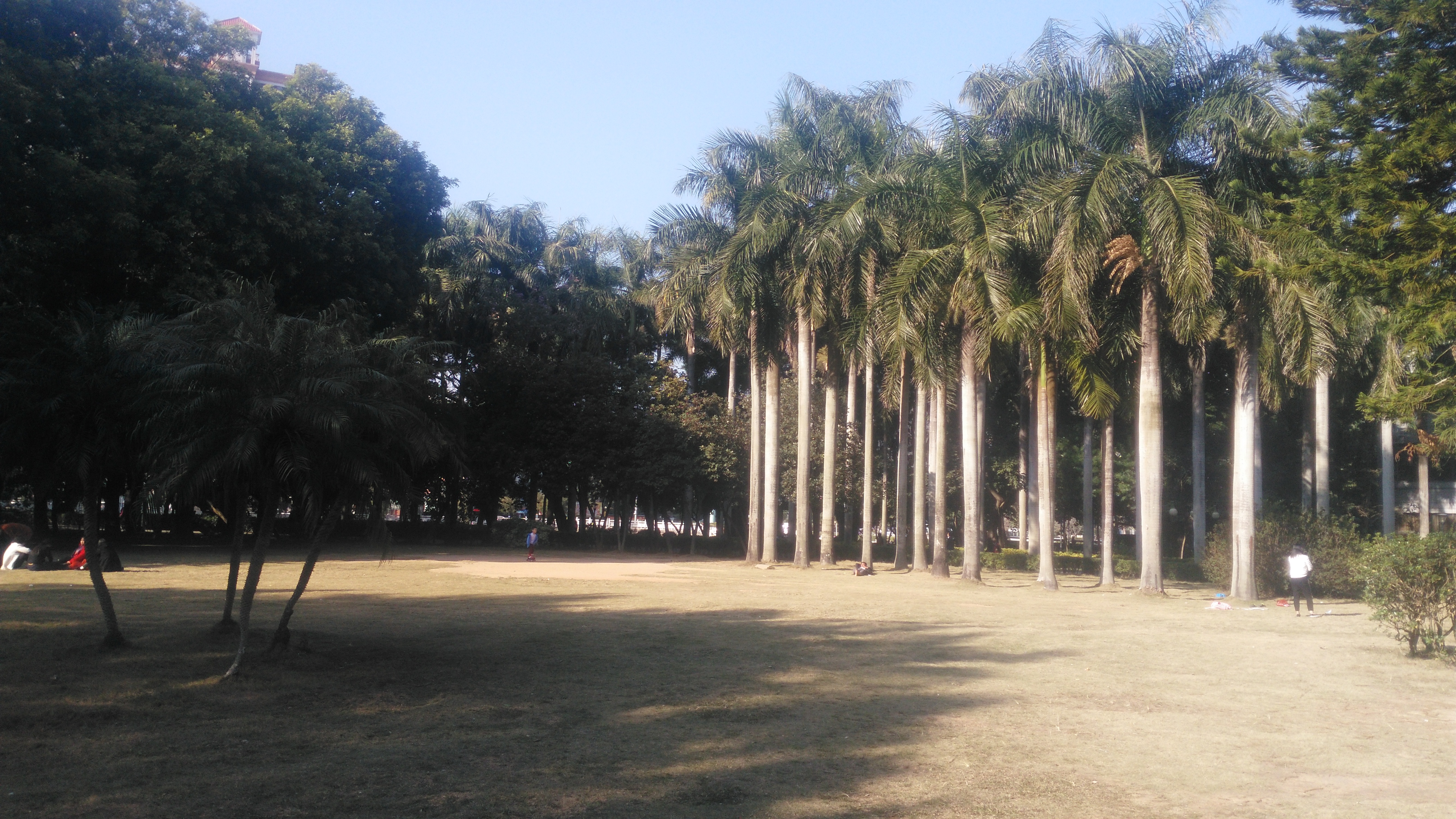 惠州市惠東縣南湖公園實拍,帶你們去看看啦