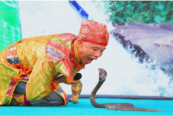 中国:蛇文化无所不在