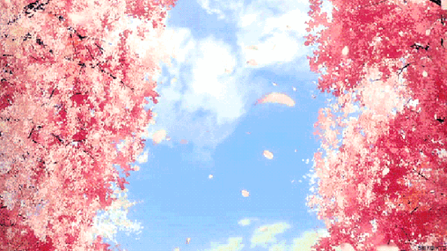 639_359gif 动态图 动图