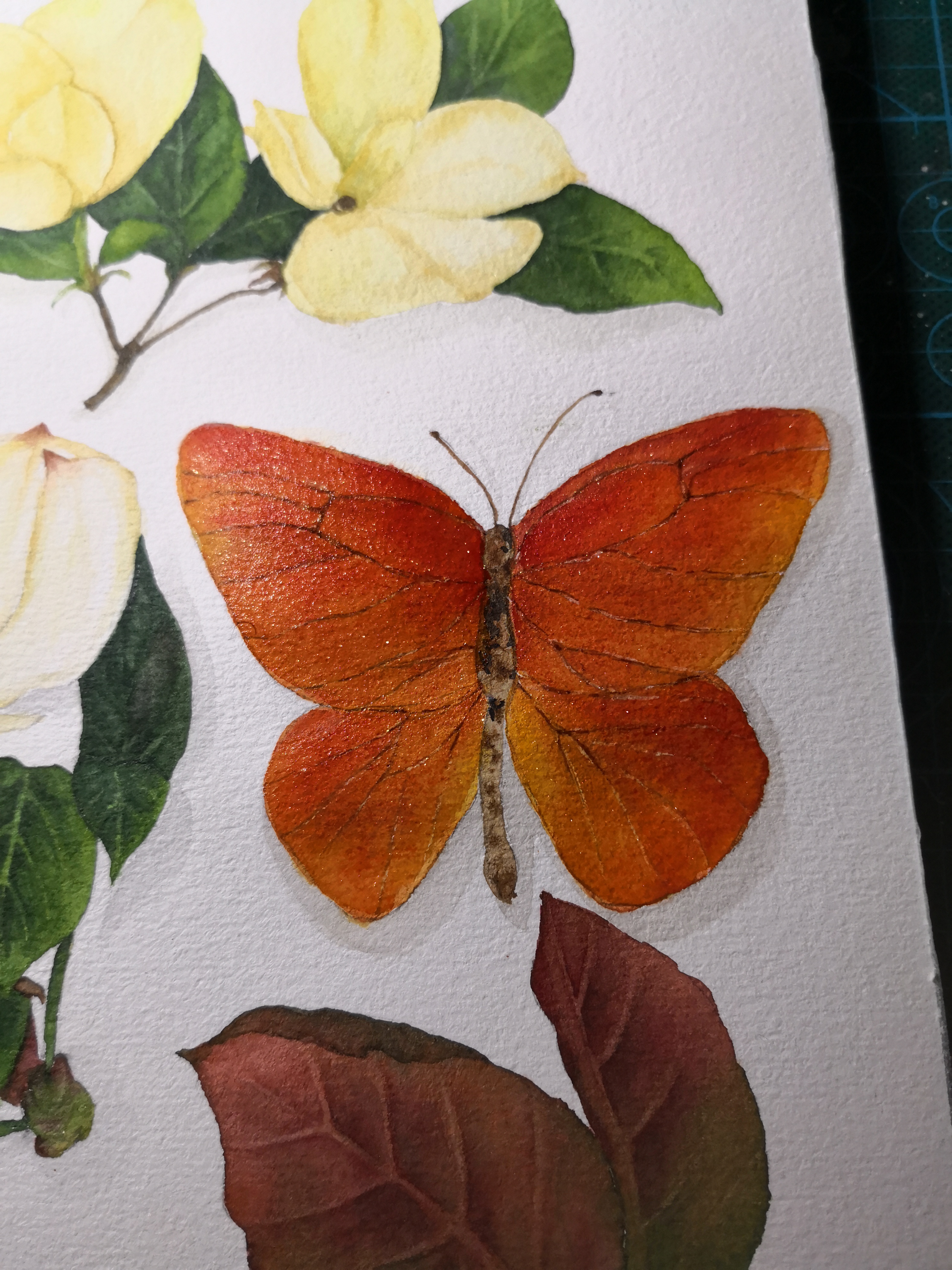 ming酱的水彩绘画分享2:有花有蝴蝶的春天才叫春天!