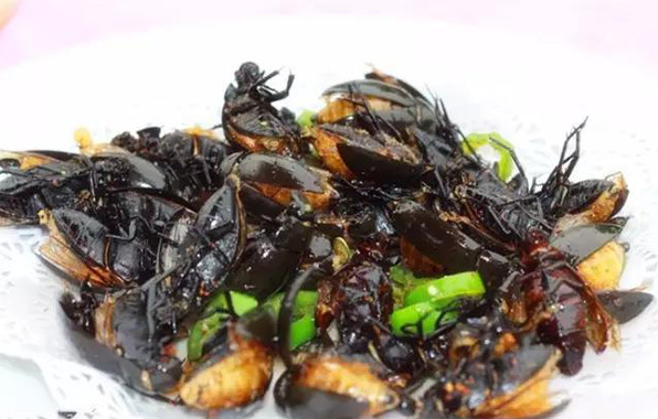 这才叫会吃,这4道菜外地人看了连连摆手,潮汕人吃着才叫香