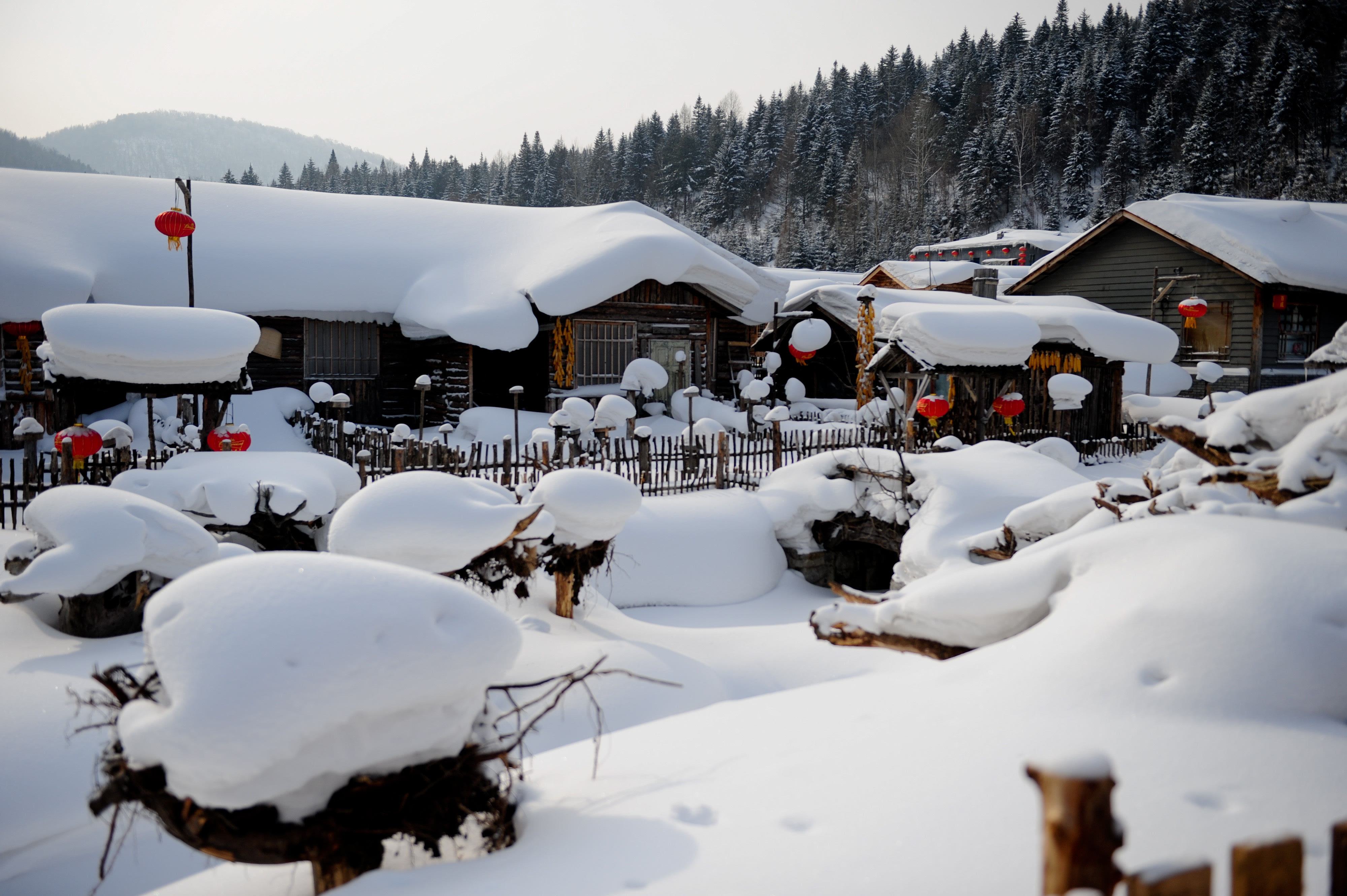 千里冰封万里雪飘,放眼望去银装素裹,被称为"中国雪乡"