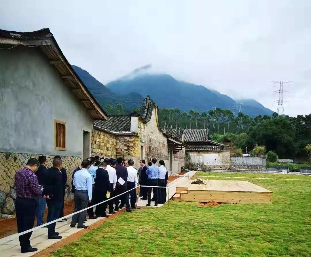 厉害了,连江丹阳镇这个项目获得了省领导的点赞!