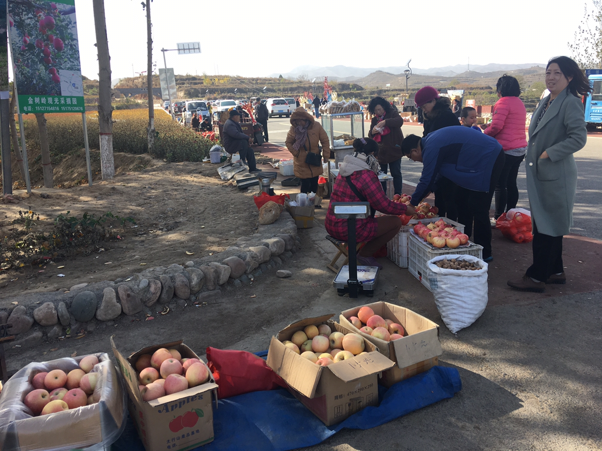 石家庄红薯批发市场 