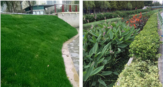 一个神话的诞生——记上海久鼎绿化混凝土有限公司董事长李仁