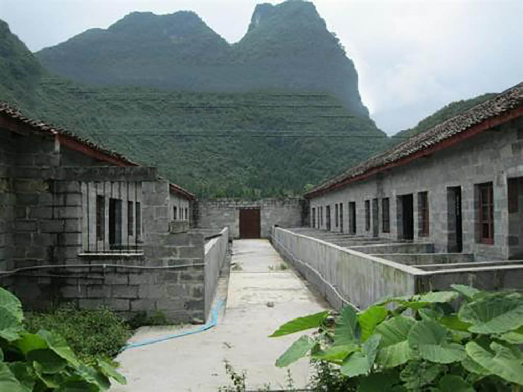 养猪专业户:关于猪舍建筑结构的细节,养殖户必知