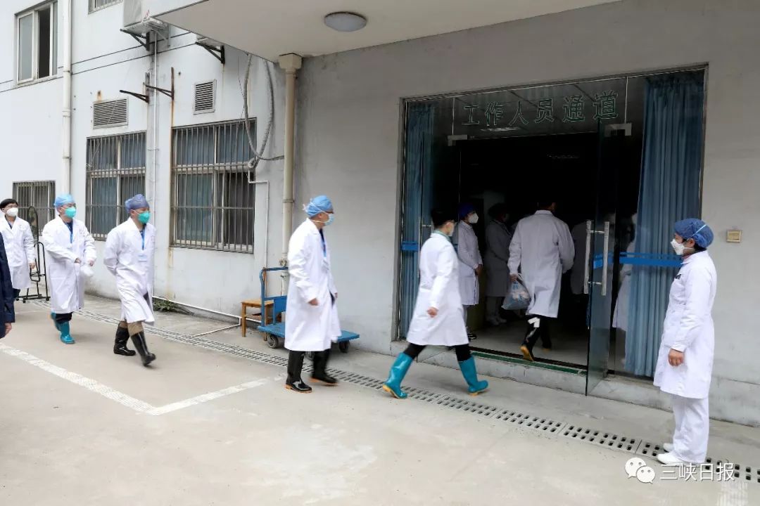 宜昌加油!福建丫霸!