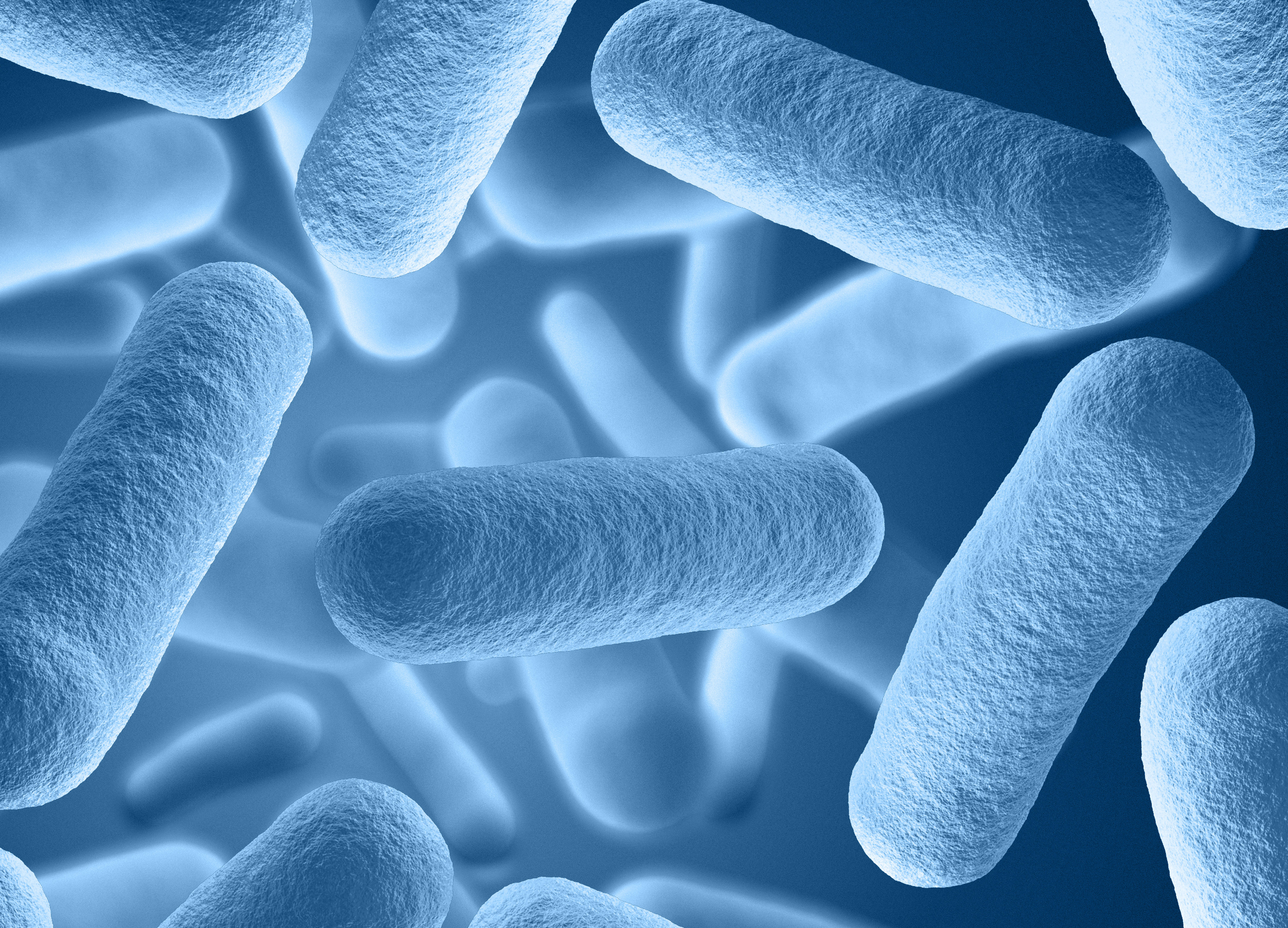 16s rrna测序丨高性价比的不二之选