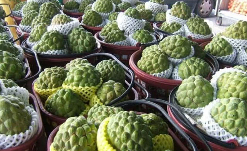 这水果在印度随处可见,价格十分低廉,可到了我国却身价狂涨!