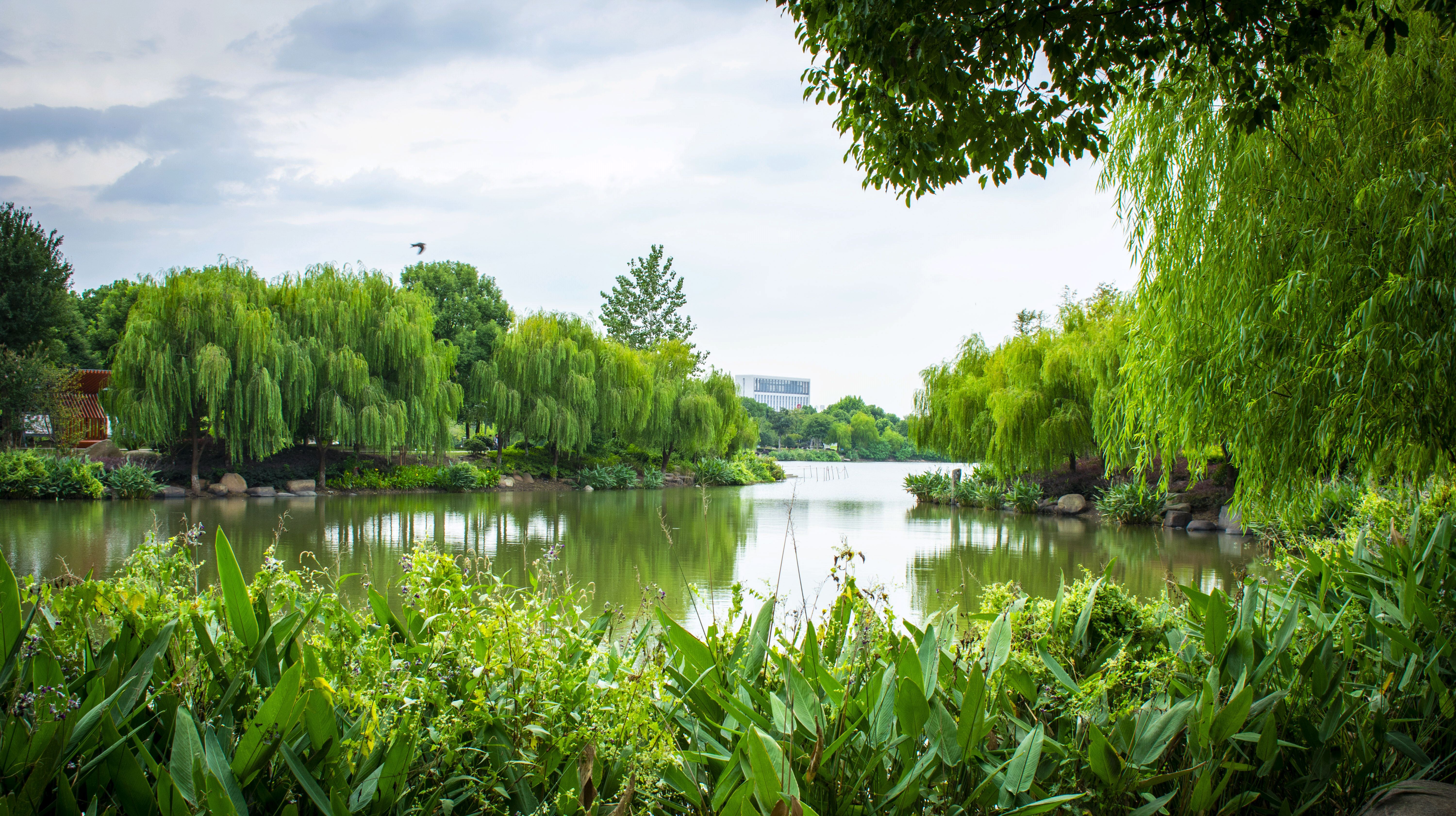 南浔古镇就一个公园都如此美丽!既然还有个隐秘小茶吧!
