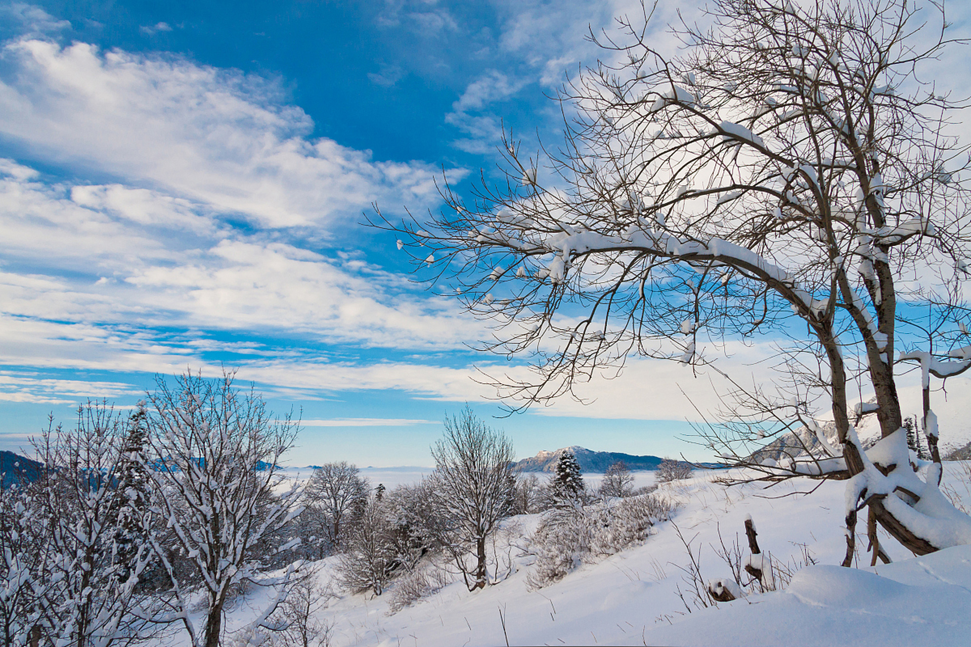 假如冬天有声音# 福建冬季美景:冬日中的雪域高原风光之美 福建的