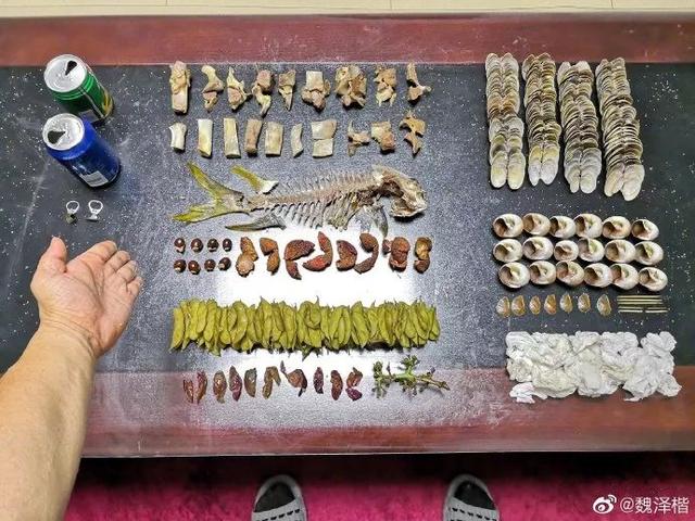 “你是什么垃圾”上海朋友垃圾分类真的太拼了！外地游客瑟瑟发抖