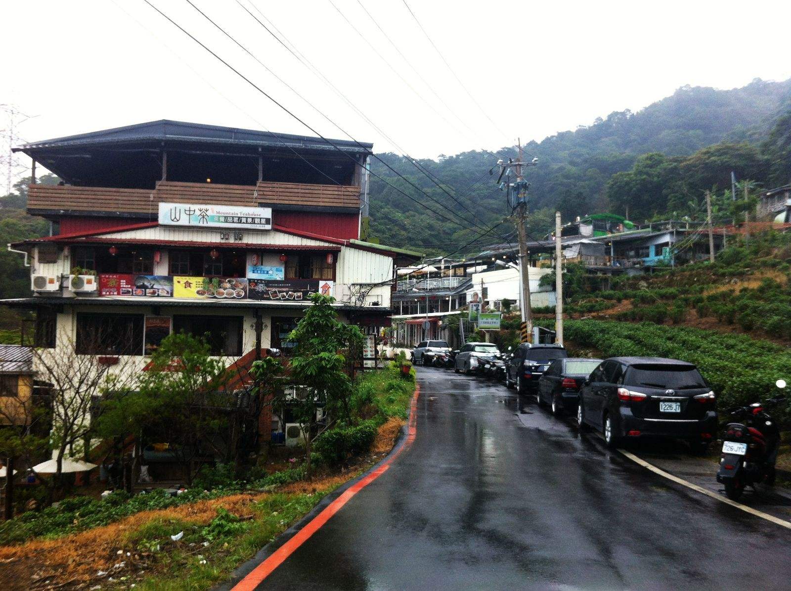 四季春俗称四季仔,在木栅则被叫作"辉