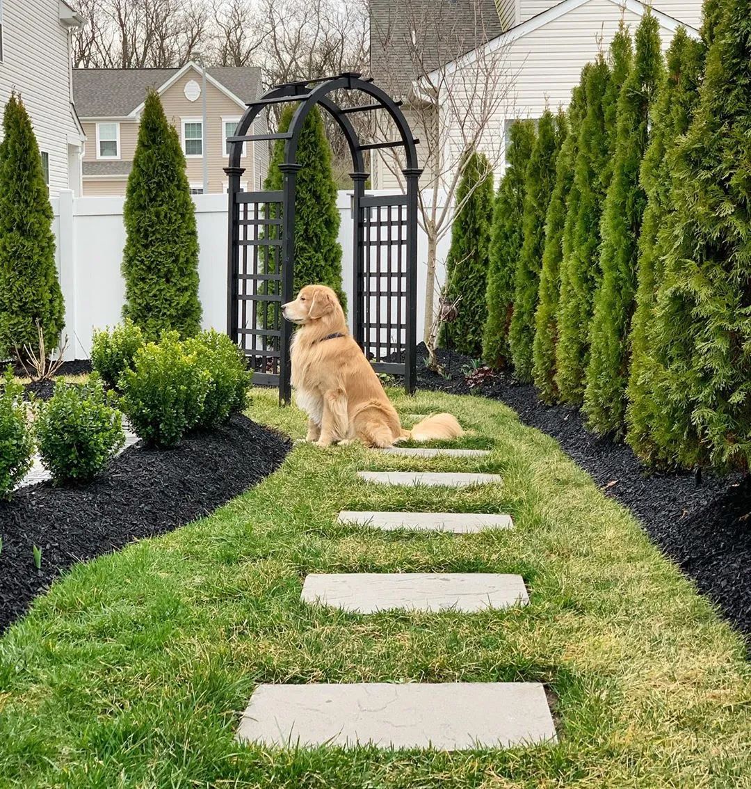 让外国人拼了命也要建的花园绿篱,究竟有什么魔力?