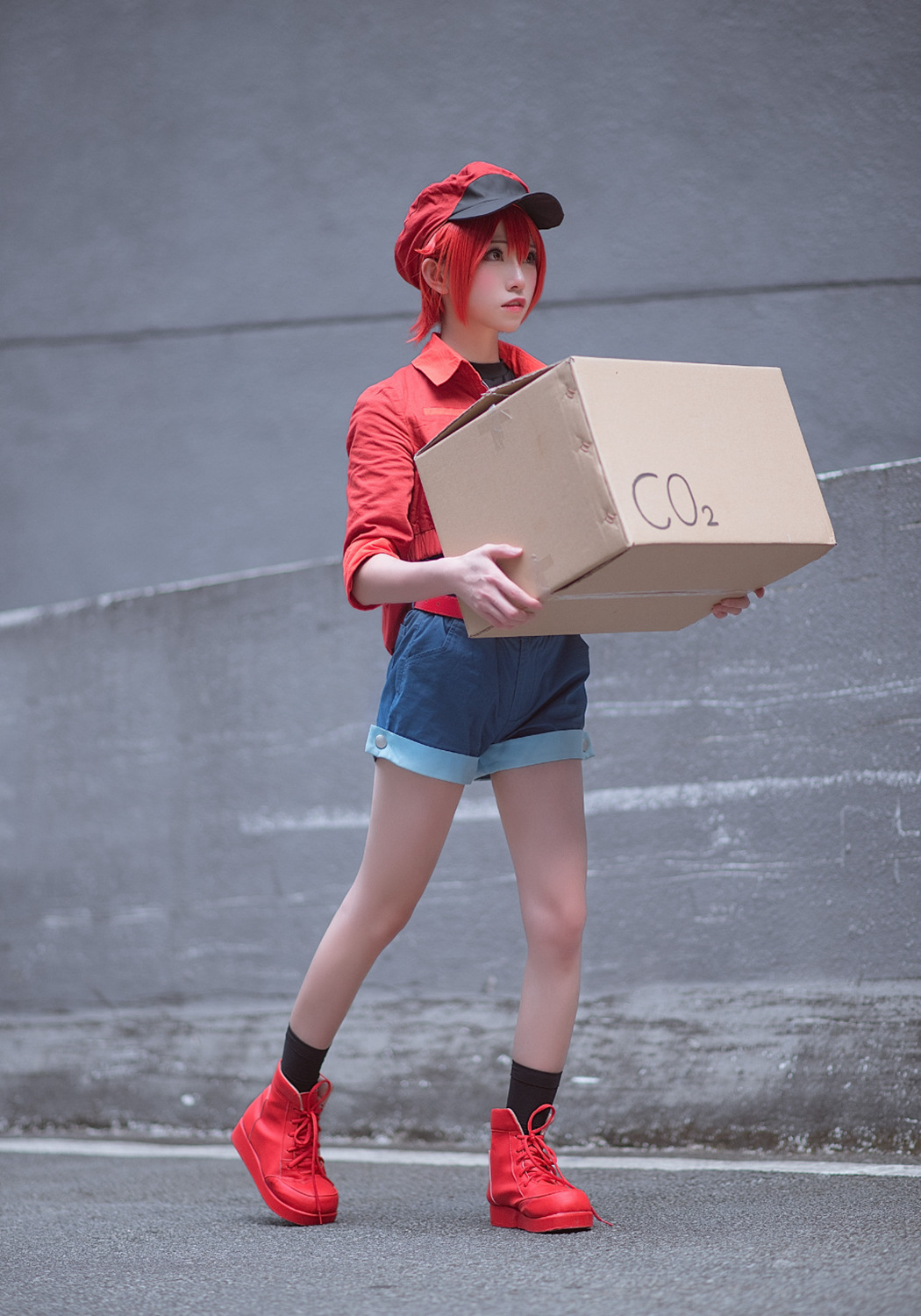 工作细胞红血球cos:看似很萌实际惊心动魄的番剧