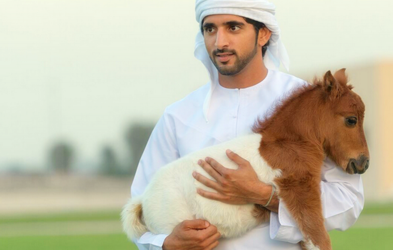 哈曼丹王子被誉为全球最英俊的王子