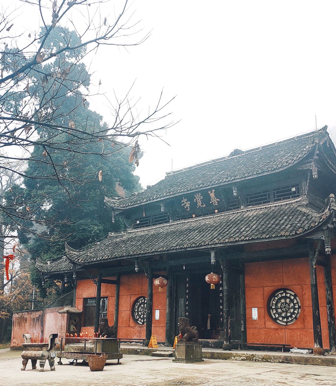 寒林古寺-峨眉山善觉寺