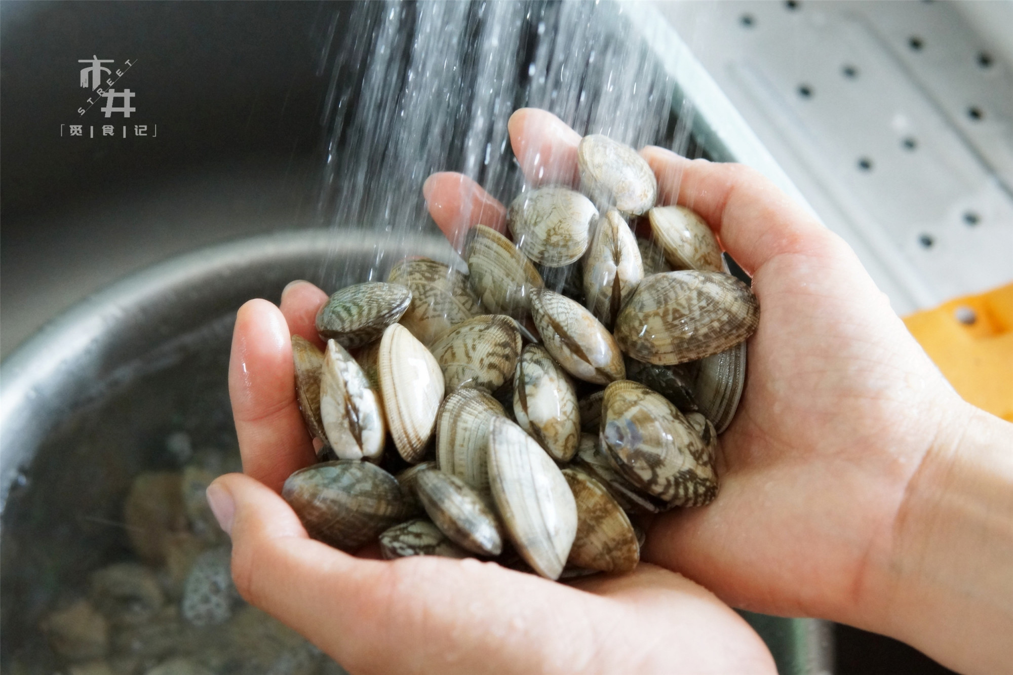 花甲吐沙,海边人教的好方法,不用盐不用油,十几分钟乖乖吐干净