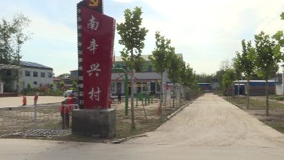 赵岗镇南辛兴村:建设美丽庭院,共享美好生活