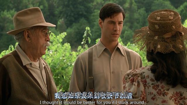 一部关于亲情和爱情的浪漫电影《云中漫步》