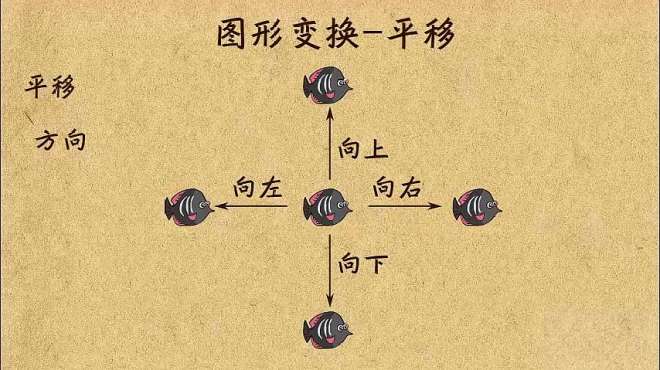 [图]小学二年级数学：图形变换