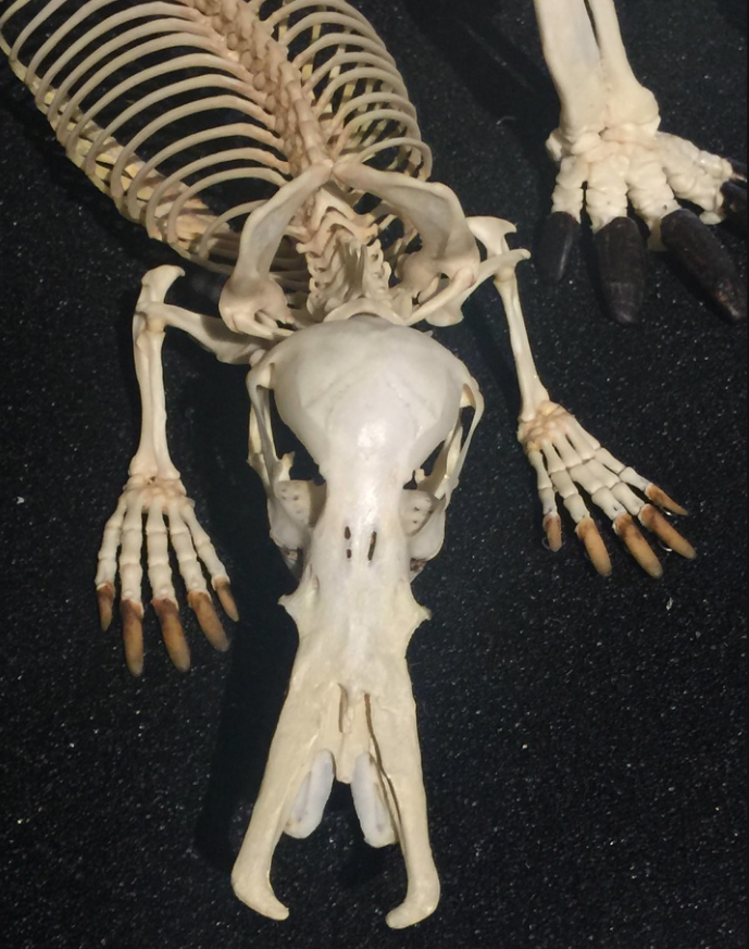 这些图片神奇而有趣,每一幅都值得"哇塞"一声