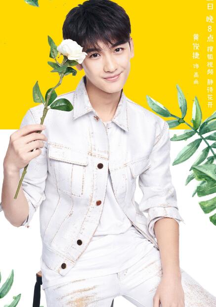 北电第二黄俊捷 曾出演网剧《栀子花开2017》