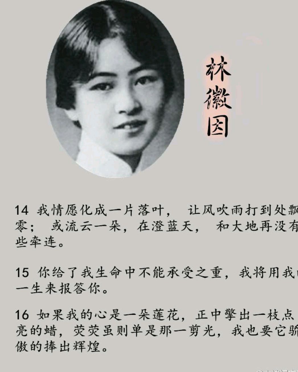 风轻云淡,岁月静好,奇才奇女,美艳如花,林徽因才情与书法赏欣