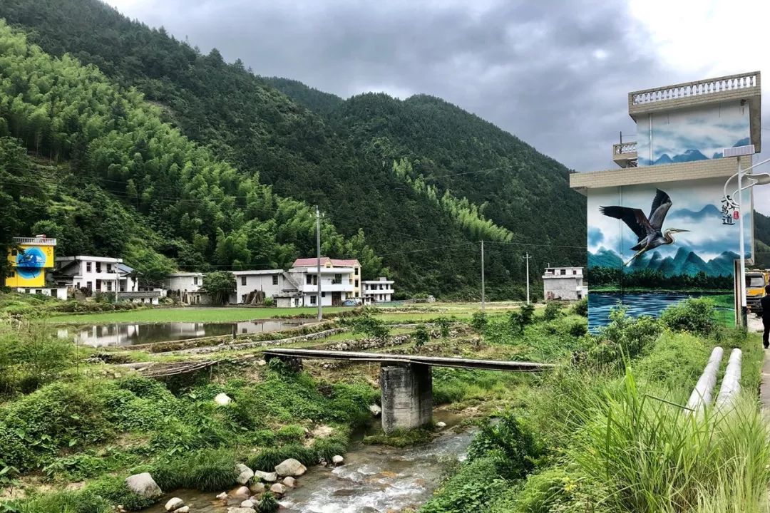 遂川千年鸟道图片